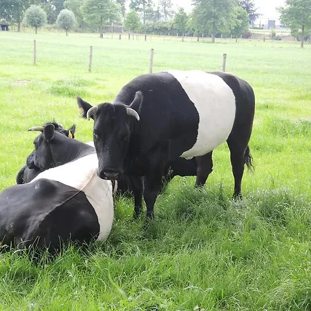 Holiday home Erfgoedlogies D'ouffenhoff