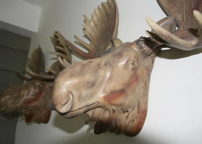 Erfgoedlogies D'ouffenhoff Feriehus *